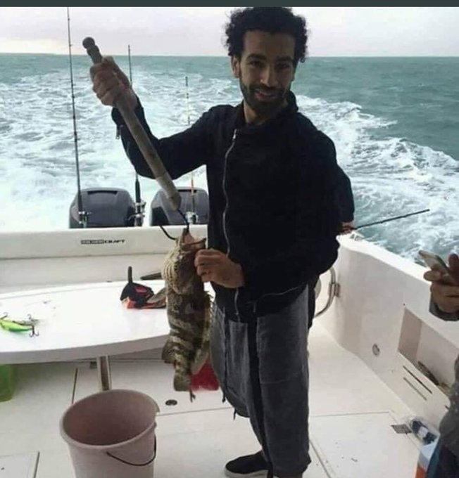 عرض الصورة على تويتر