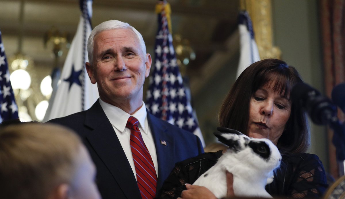 realMarlonBundo's tweet photo. Proving yet again that you #CantDispenseThePence, my Grampa the VP just cast another Senate vote to break the 47-47 tie to start considering a budget bill. So proud. 

#BOTUS #PencePets #BuildTheWall https://t.co/M7JRYVqvCV