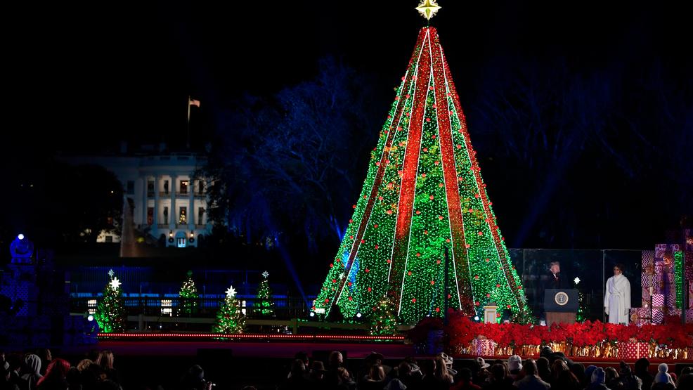 National Christmas Tree will be lit during shutdown