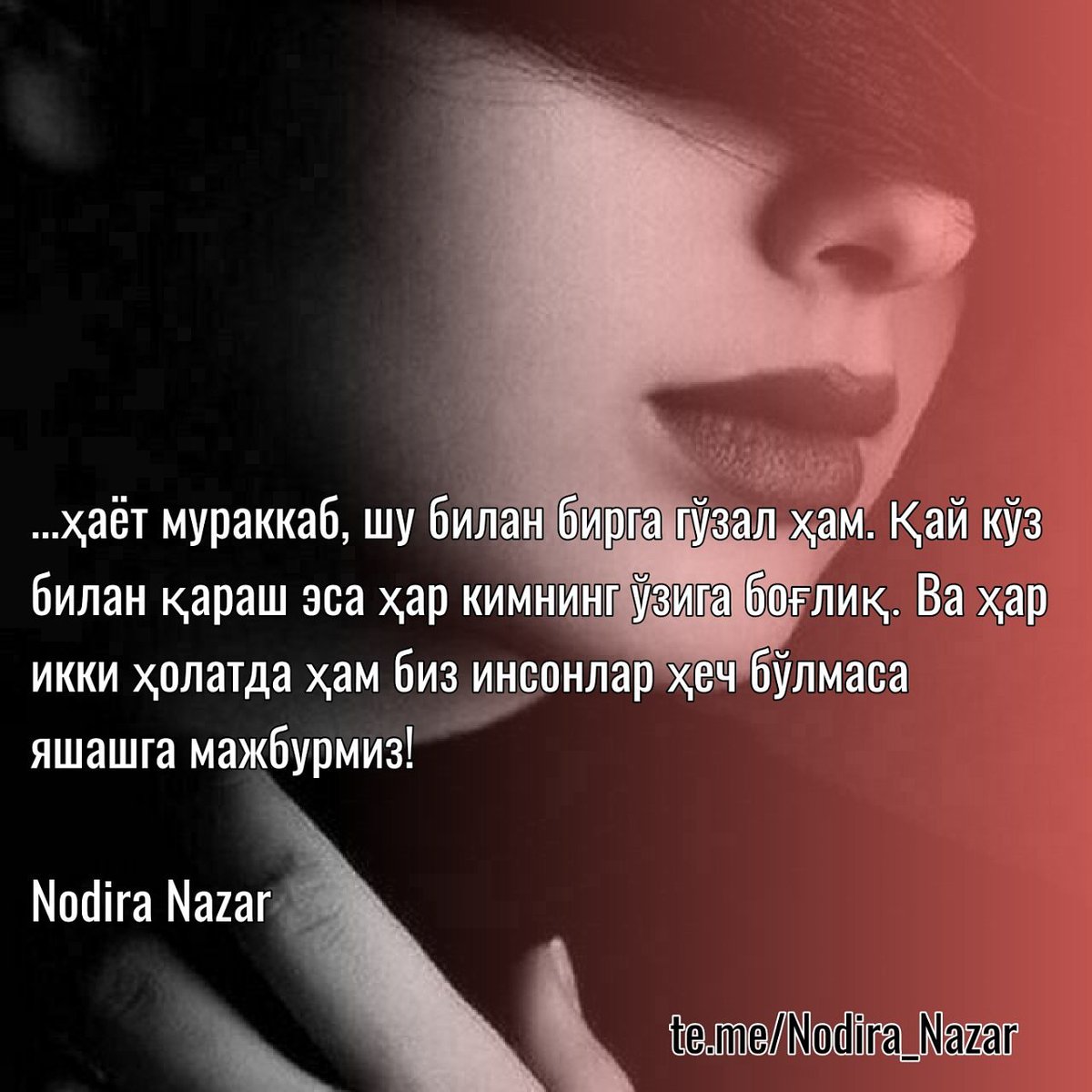 Картинка дардли шерлар