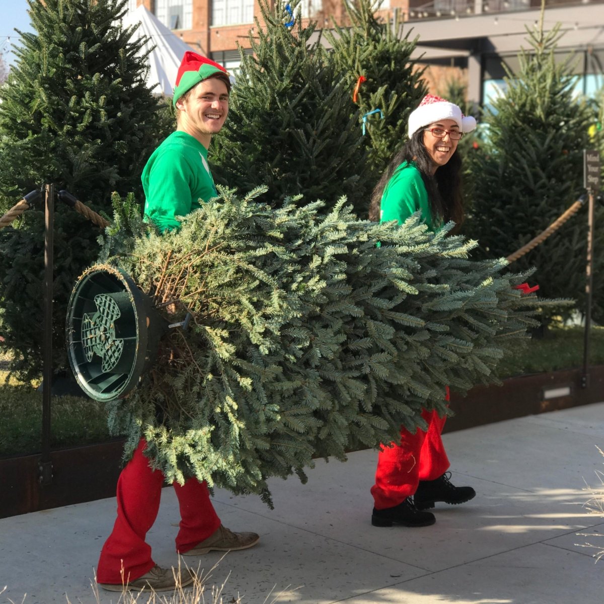 Ho-ho-ho! It's that time of year again for you to VOTE for Your Favorite Tree Elves delivery photo! Top 3 Get a FREE TREE from our elves next year.

Contest ends on December 22nd at midnight &amp; the winner swill be announced on December 23rd @ 4pm.

Vote 👉 bit.ly/2GAeu8s