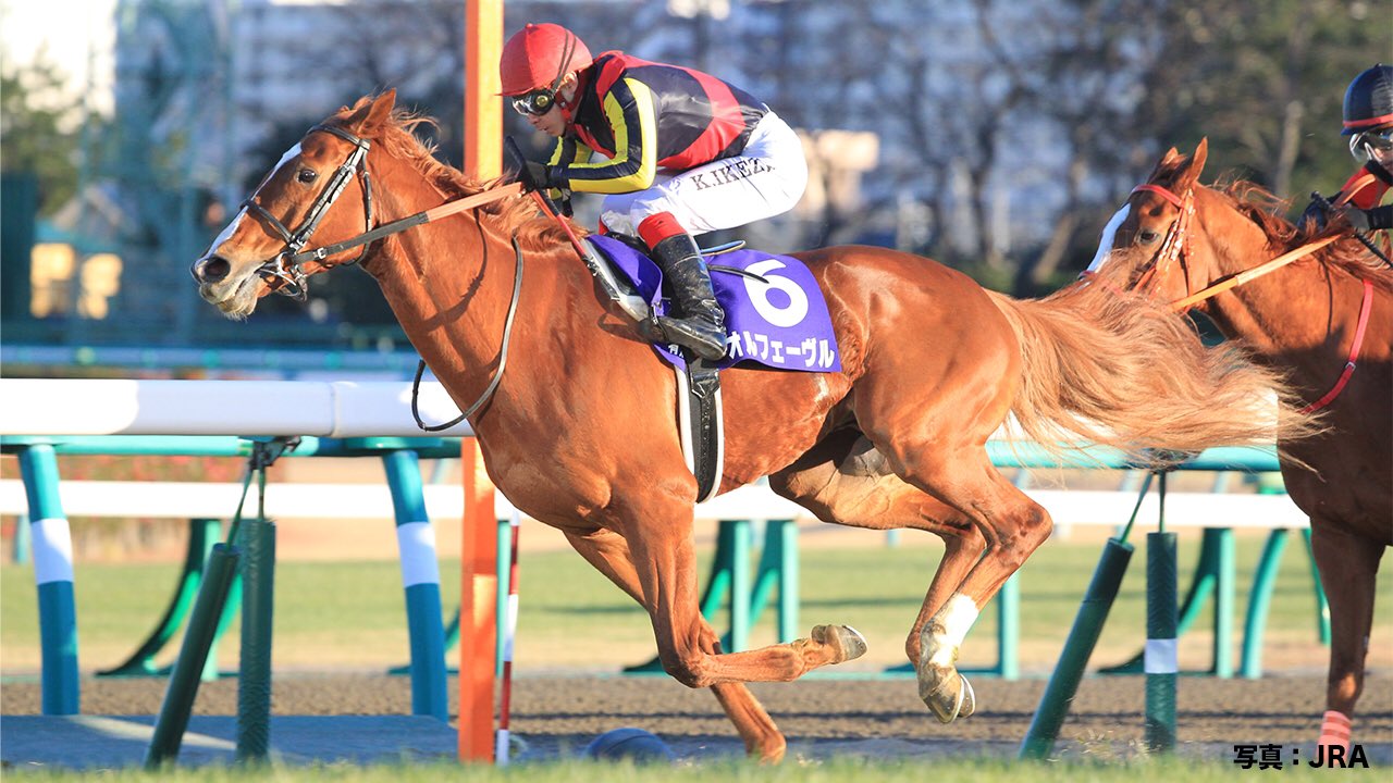 JRA FUN on X: JRA FUN on X: