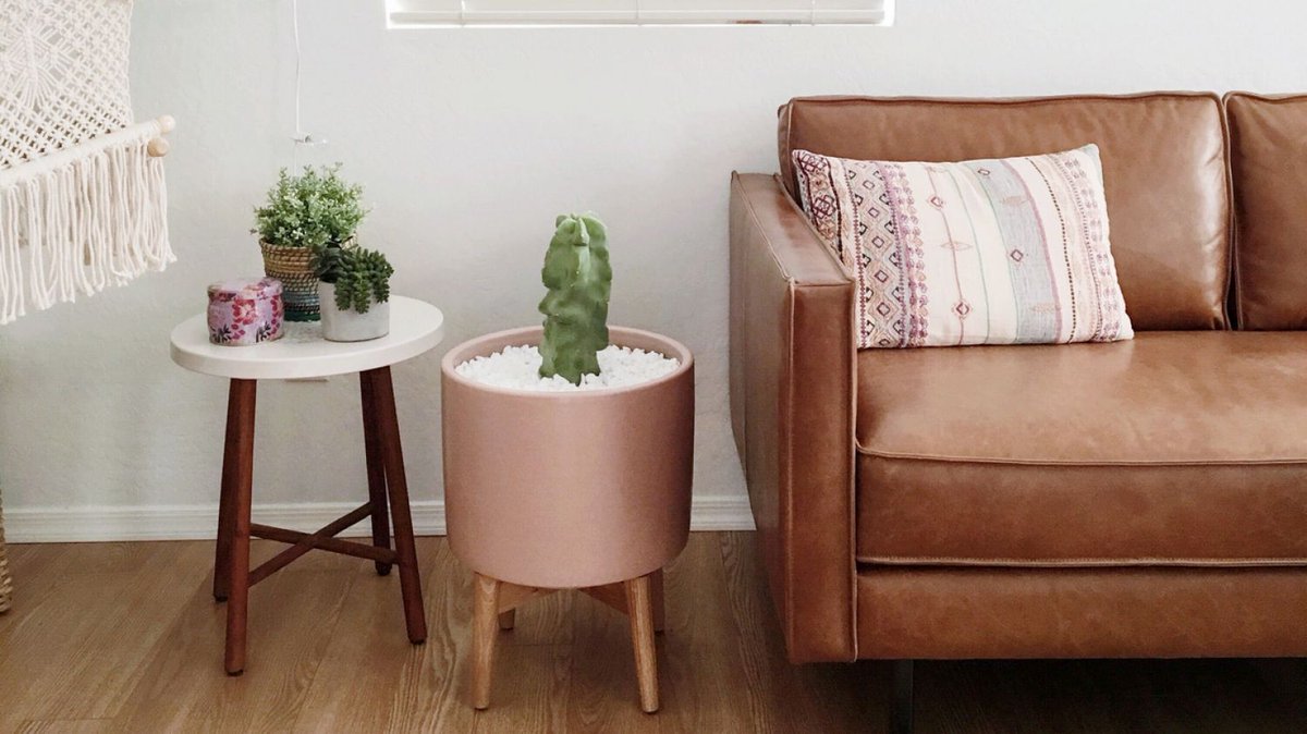 Home decor items to ditch if you’re over 30. domain.com.au/living/home-de…