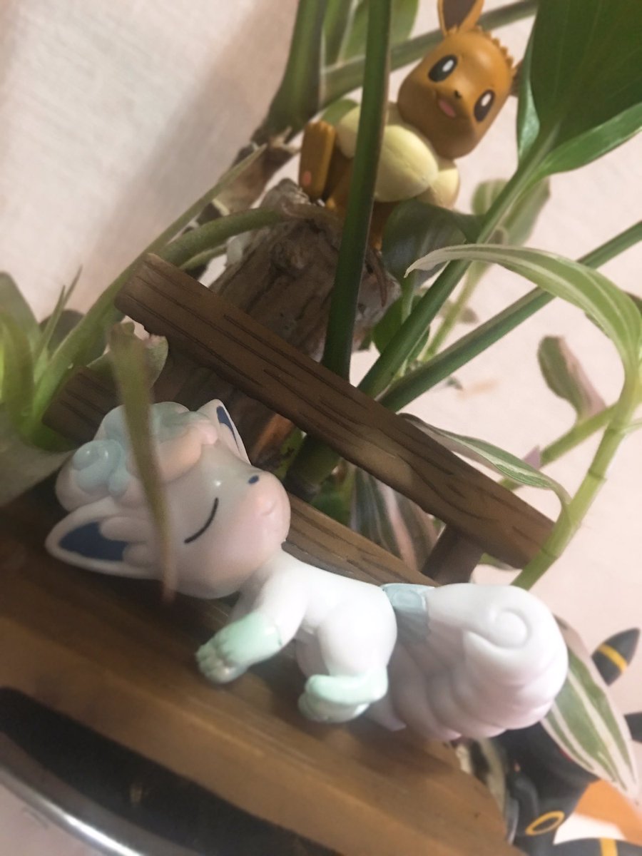 リア ꪔ ポケモン部屋の住人 100均アイテムで作るポケモンテラリウム 観葉植物 エアープランツ ベンチ 植木鉢 ブリキのバケツ これらが100均グッズで あと底石と培養土も使ってるけど あるから買わなかっただけで100均で買えますヾ W ゞ リア ꪔ ポケモン部屋の住人 100均アイテムで作るポケモンテラリウム 観葉植物 エアープランツ ベンチ 植木鉢 ブリキのバケツ これらが100均グッズで あと底石と培養土も使ってるけど あるから買わなかっただけで100均で買えますヾ W ゞ