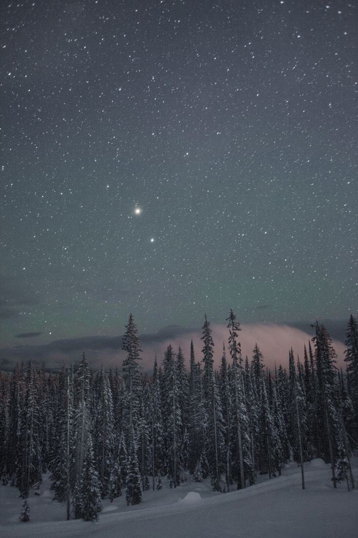 ©นาราชายาร์∞ 🌕🐋❄️🎄 tweet media