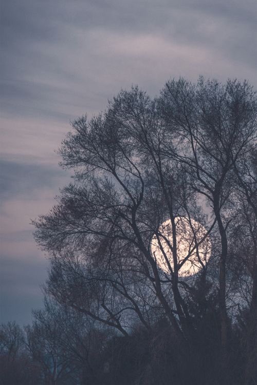 ©นาราชายาร์∞ 🌕🐋❄️🎄 tweet media