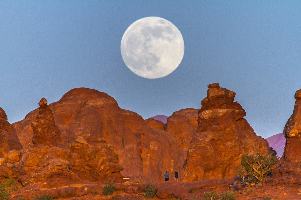 sweetstickyrain's tweet photo. Cold Moon (December)

https://t.co/MyaepN2Oz5

Night Moon,Twelfth Moon, Big Winter Moon,Ashes Fire Moon,Oak Moon, Trees Moon,Running Wolves Moon,Frost Fish Moon, Finger Moon 
Long Nights Moon  Winter Solstice Moon

#SolsticeMoon

#FullMoon

#RunningWolves

#WinterMoon https://t.co/KIaAoSf3hw