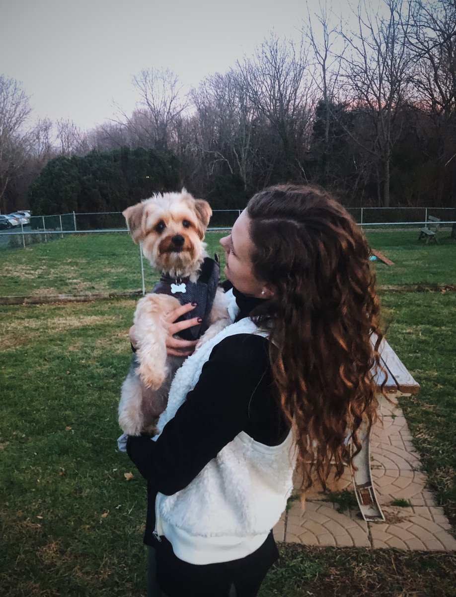 Mallory_Morgan_'s tweet photo. I wanted a dog and cam didn’t... So we compromised and got a dog 🐾🥰 https://t.co/xoDT97kFCg