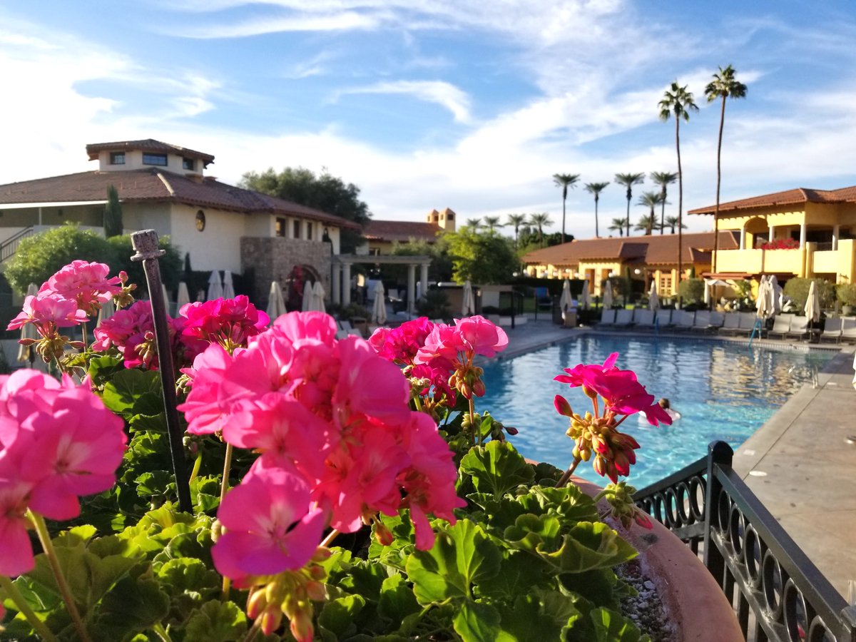 HorsingAroundLA's tweet photo. #adπ΄ A Desert Oasis: @MiramonteResort in @VisitGreaterPS. The perfect getaway.
Enter for a chance to WIN your own desert oasis experience that includes a night stay here! Enter & Check it out now!π https://t.co/OOdCYV8sHd
@GirlsGuide2Cars #Drive2Learn #PalmSprings https://t.co/5OzY29YVzp