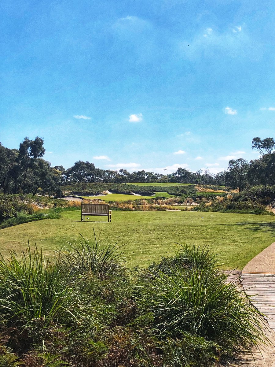 Bryden Macpherson tweet media