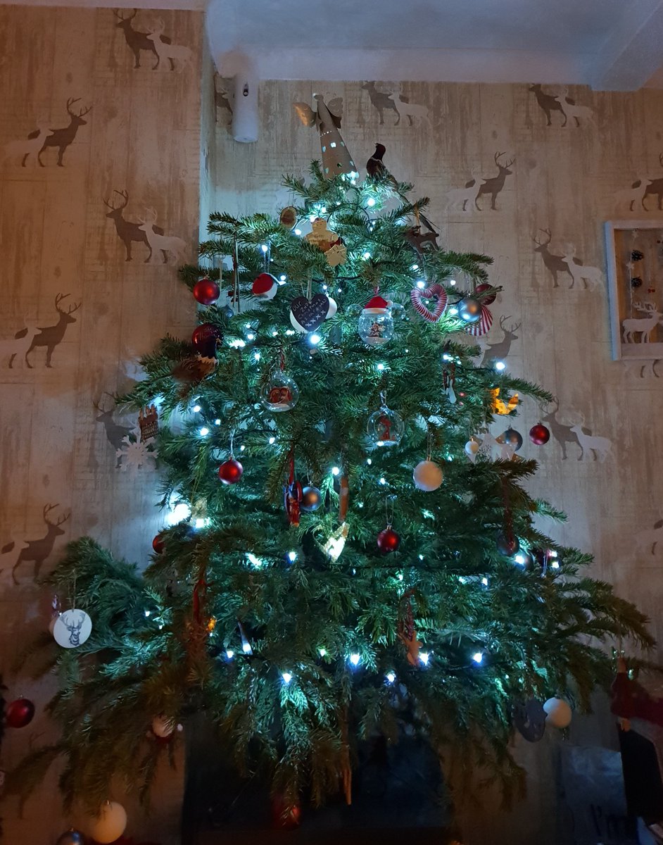 Oh Christmas Tree, Oh Christmas Tree how #wonky are your branches?! Looks like our fairy has been on the #sherry too... #christmasourway #breakingtherules