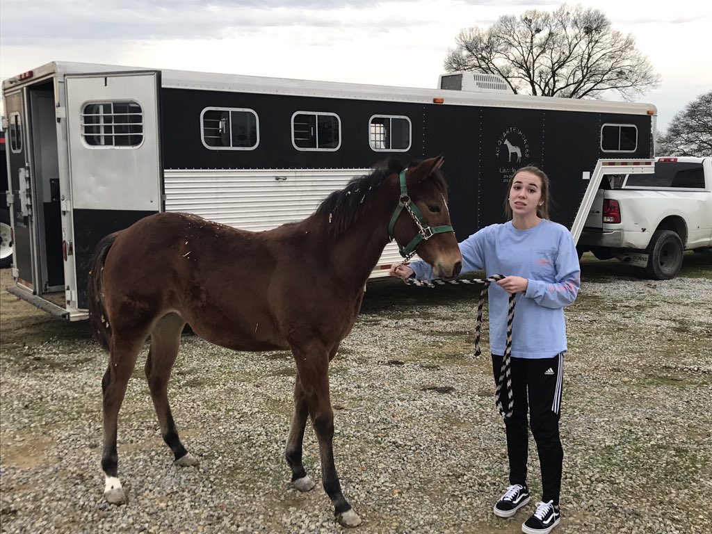 RobbieAngles's tweet image. She's growing.  She'll be 8 months old Christmas Day‼️