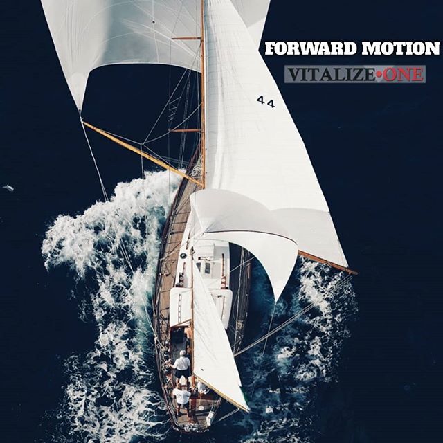 VitalizeOne's tweet image. #forward #forwardthinking #forwardfold #VitalizeOne #forwarder #forwardbend #forwardmotion #valentus #forwardmovement #forwards #tennant #forwarding #forwardprogress #forwardmarch #vt #forwardalways #motion #forwardmomentum #forwardisforward #vitaly #forwarders #forwardthink…