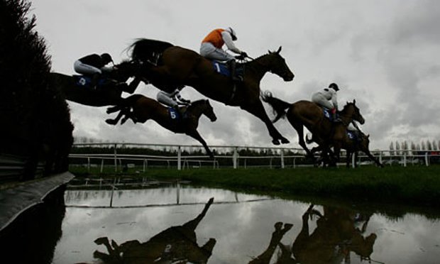 pigeon_island's tweet image. TODAY'S #PigeonSwoop4 RESULT @NewburyRacing
=WINNERS @BarneyJoinerman @Lloyd70Mike @nevblake @toon_cookie @UncleErniesTips 29pts
6th @biglanger 27pts