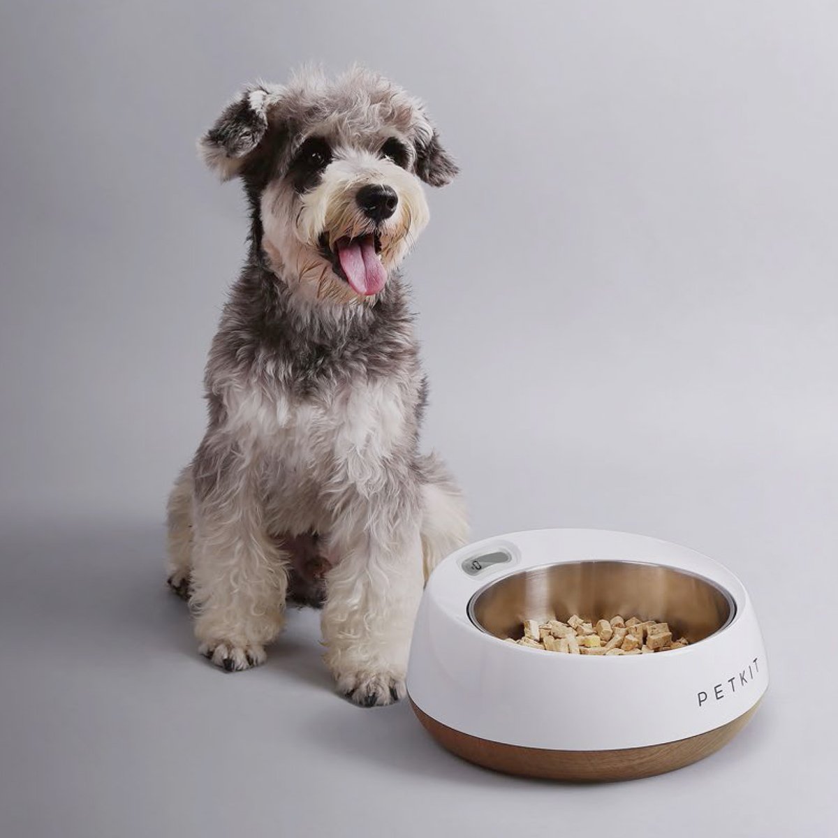 Una vida feliz y saludable para tus mascotas con Petkit. 🐾Productos especializados en brindar una máxima comodidad y mejorar su calidad de vida.🐈🐕 Encuentralos en nuestras tiendas inkanta y en la página online. 👉🎁bit.ly/2A7fg6Z #ProfesionalesEnDiseño #pets #regalos