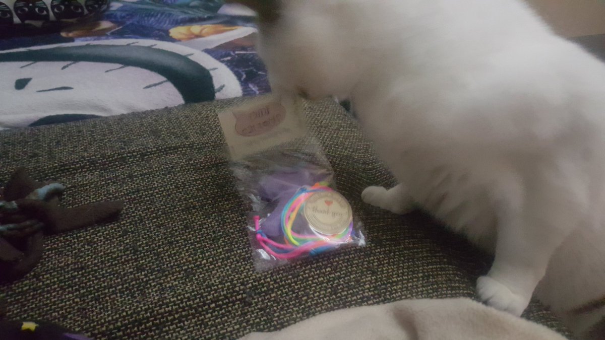 <a href="/AmiCaToys/">Amicattoys</a> look what I got!