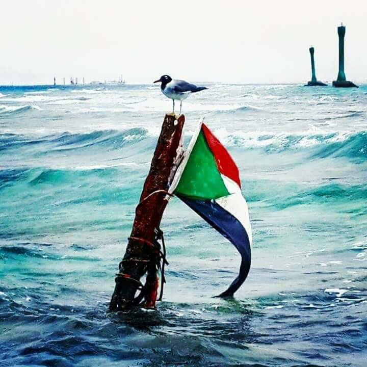 اللهم انا نستودعك اهلنا في السودان شيبهم وشبابهم أطفالهم ونساءهم كن لهم يارب وارفع عنهم البلاء والغلاء
#سودانا_أمانة
#لا_للتخريب
  #مدن_السودان_تنتفض