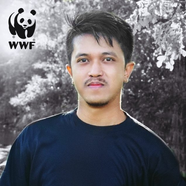 aswarofficial's tweet image. SAVE THE PANDAS 🐼🐼🐼 #PANDA #PANDAS #SAVEPANDAS #KUNGFUPANDA #EARTH