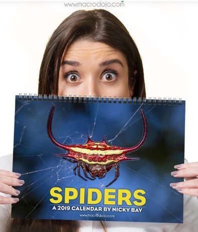 TheSpiderChick's tweet image. Nicky Bay has beautiful 2019 SPIDER CALENDARS!
They are full of his outstanding macro shots! Choose from a calendar of #hunstman spiders, #jumpingSpiders, or of 12 different #spider families!  
macrodojo.com/product-catego…