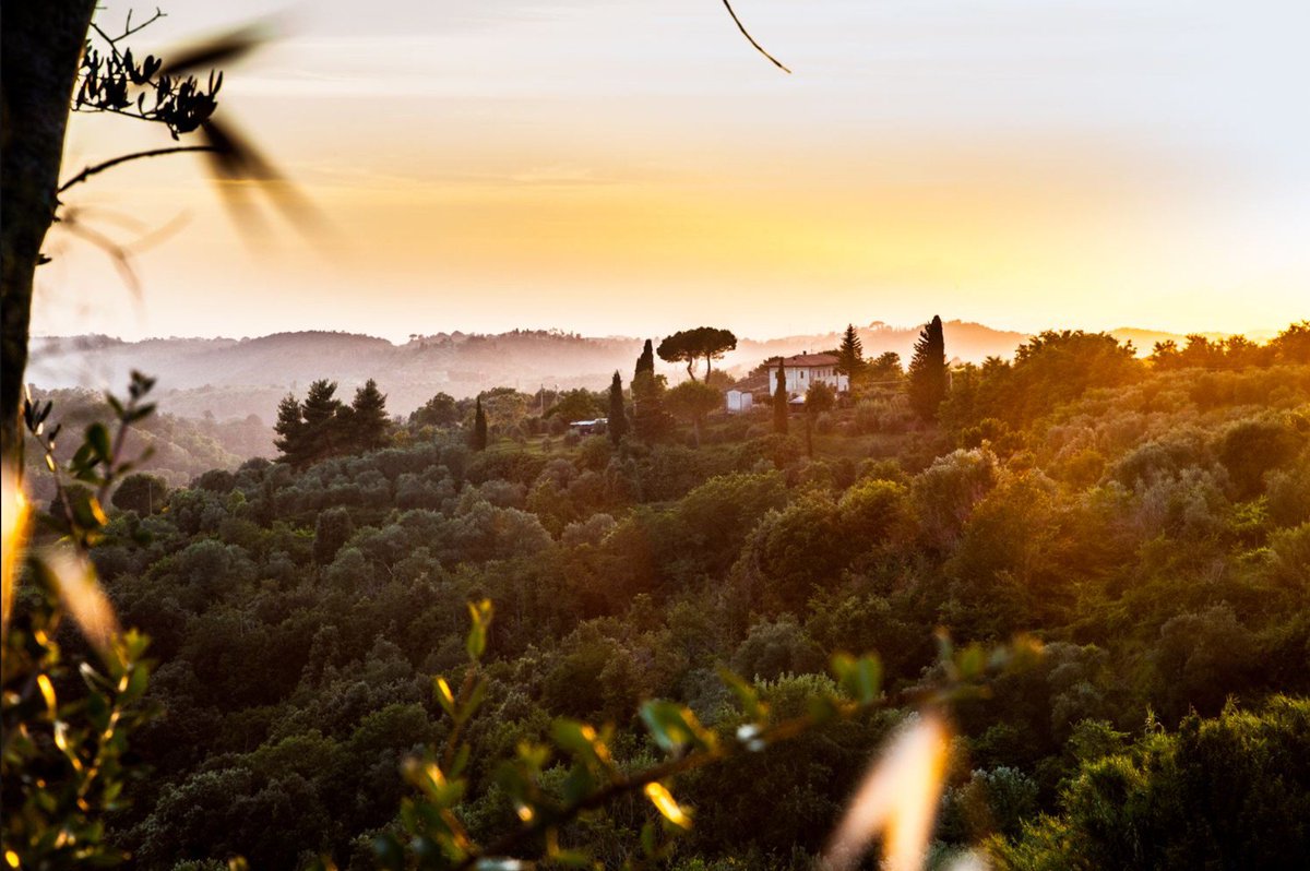 Judgement is either to confuse someone's unconscious behavior with who they are or to project your own unconsciousness onto another person and mistake that for who they are. ~Eckhart Tolle (#ThePowerofNow pg.160)
[ 📷 instagram.com/michellestock_…]