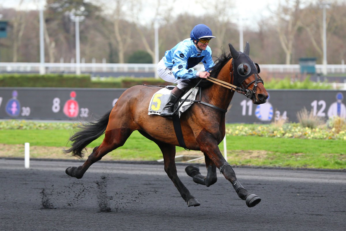 EcurieLPeltier's tweet photo. 🏆🥇🎉 Mercredi 19 décembre : jour des débuts au trot monté de Fidèle Amour ... jour de sa 1ère victoire dans cette spécialité !

A @vhpofficiel, ce fils de Goetmals Wood est monté sur la plus haute marche du podium lors du Prix de Gramat. 🏆🥇🍾
➡️https://t.co/jVYiMN1FMZ https://t.co/r8dWIhtVhh