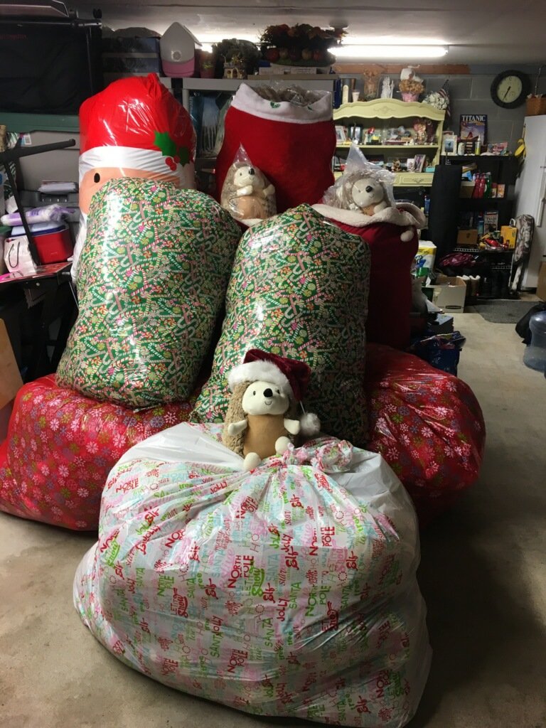GeorgeVFournier's tweet image. Here's 250 of 500 donated Herbie the Hedgehogs getting ready to be delivered to kids at St. Joseph's Children's Hospital @sjh_nj in Paterson this Christmas! Response to the #GameOnGavin fund raiser has brought tears to our eyes!🎄🚒🎅 #PeqHolidayFundrasier #AVTweeps #AVGivesBack