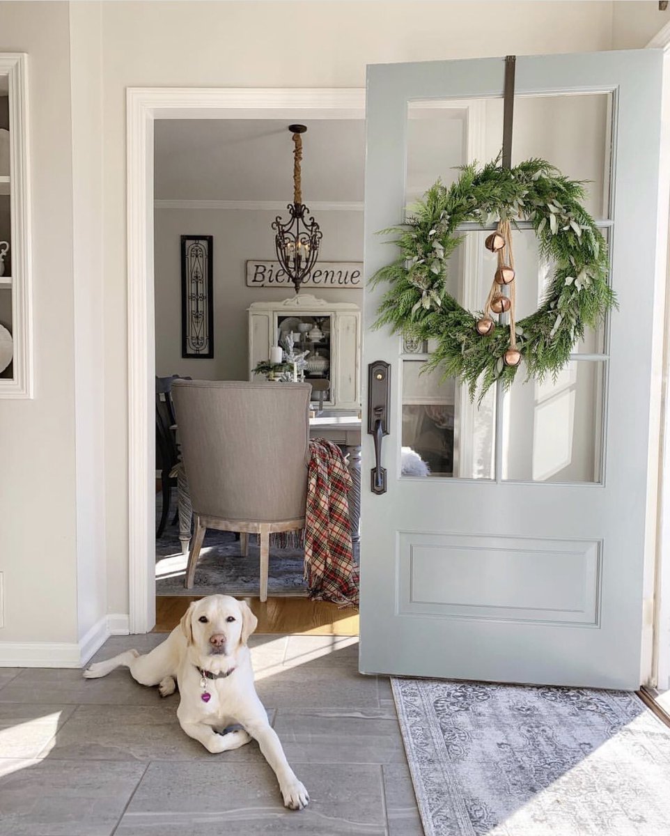 Piper the pup 🐶 is perfectly content with the crisp winter sunshine☀️ , and he’s not worried about the upcoming winter storms🌨. Why? His Simpson features WaterBarrier technology, which helps protect the door from harsh weather. 5-year added warranty, no overhang needed! ❄️❄️☃️