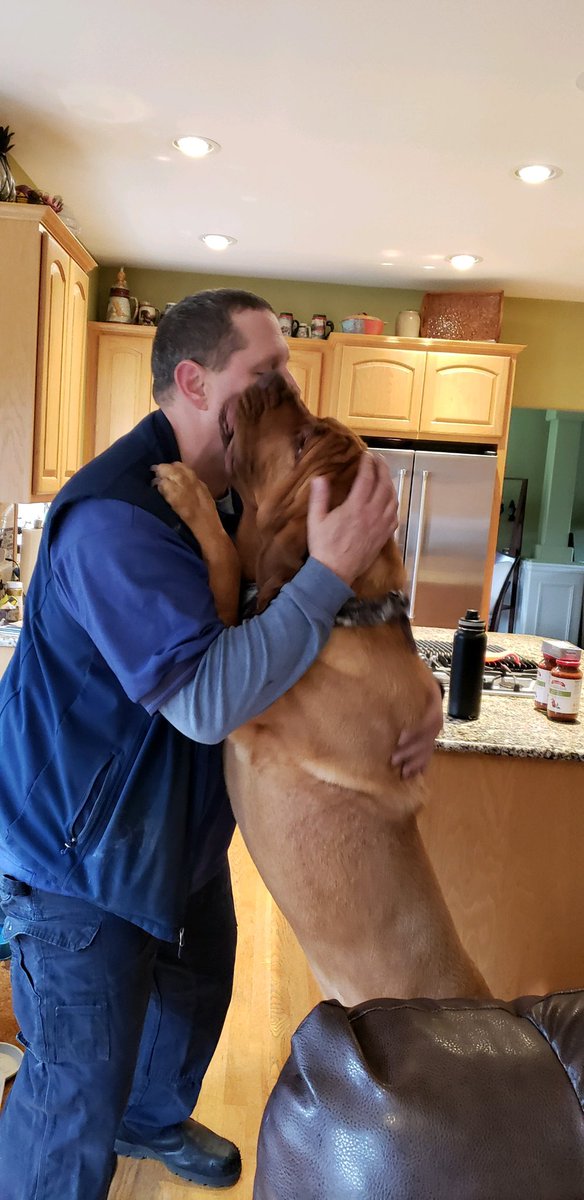 BillingsKylee's tweet photo. This last weekend my parents replaced me with a horse. Meet Brutus, the 150 pound dog. He is my dad’s new favorite. https://t.co/M0MQV6Q01X