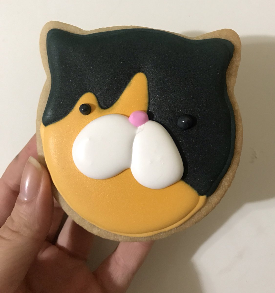 Made a Pudge cookie
