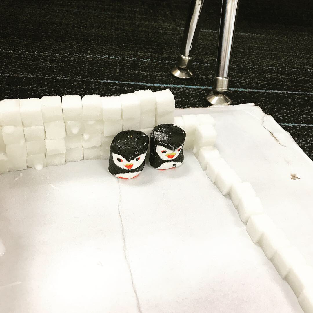 tutoringteach's tweet photo. One of my interns asked me to do a STEM lesson to tie in my arctic theme.  She did an amazing job and I was so impressed with the outcome!! ❤️❄️ https://t.co/tpUA31XrkU