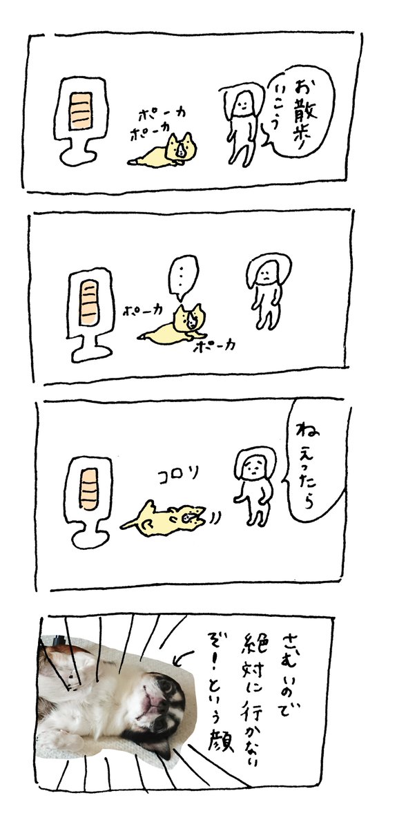 いぬだからってなんでも喜ばない 