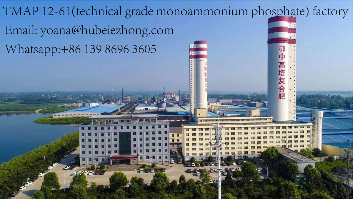 YoanaYang's tweet photo. biggest TMAP manufacturer in China--Hubei Ezhong https://t.co/luSwavR8F3