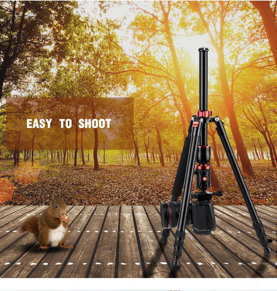 CZomei's tweet photo. Xmas is near @we really need to click some nice photos and videos.
Check out the new Zomei M8 Tripod. Awesome gadget!
https://t.co/mJfu5s0I31

#Zomei #tripod #monopod #photography #Photoshoot #camera #video #Canon #Nikon #Sony #Olympus #lens #filter #photographyequipment #snaps https://t.co/BfGFYdEmiK