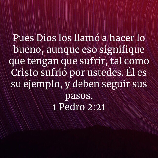 MontijoSoler's tweet photo. https://t.co/1XH8Srz4HV