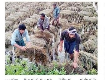 Munny74717690's tweet photo. #Pethaicyclone కారణంగా జరిగిన పంట నష్టంపై శుక్రవారం నాటికల్లా రైతులు సర్వే నంబర్ల వారీగా పూర్తిస్థాయిలో అంచనాలు సిద్ధం చేస్తామని వ్యవసాయ శాఖ @Somireddycm గారు ప్రకటించారు....
@ncbn
@AndhraPradeshCM
@JaiTDP
#ncbn
#AndhraPradesh
#CyclonePhethai
#CycloneAlert
#Pethai https://t.co/gYxX1wQHbv
