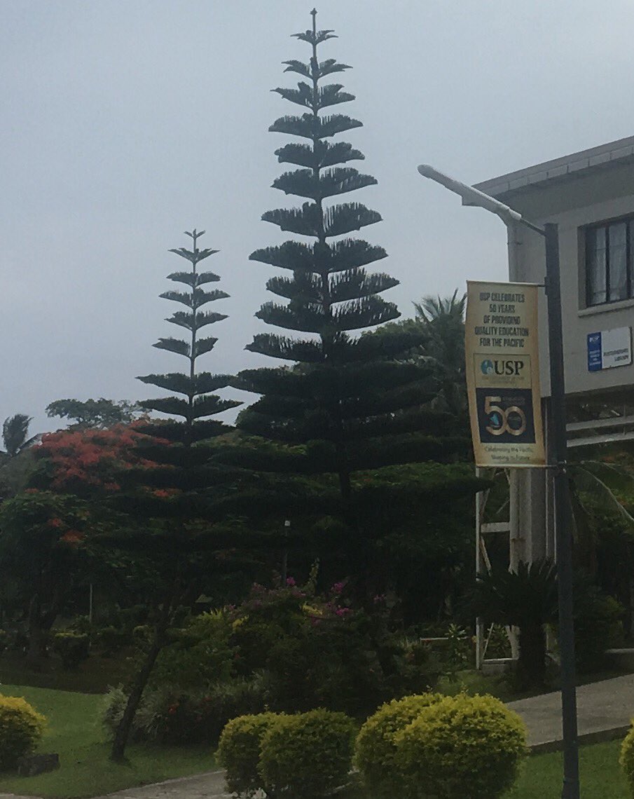 USPEcon's tweet photo. Merry Christmas and happy holidays to all our students, alumni and faculty. #USP50 https://t.co/XCFQU0tAom