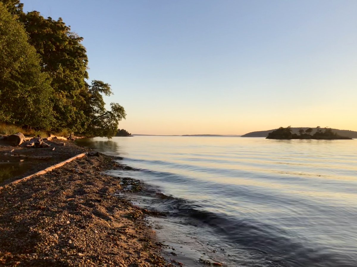 wesleyphelps's tweet photo. Missing this raw beauty #orcasisland https://t.co/W5W9axUz4n