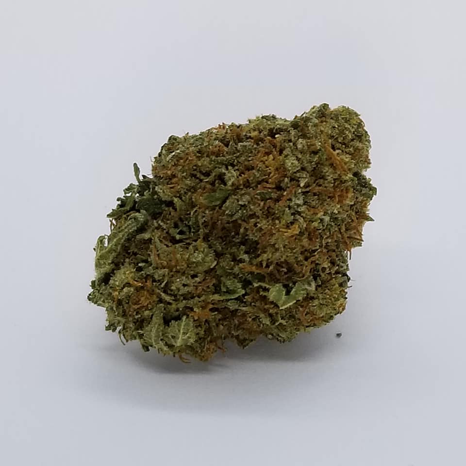 ChronicByMail's tweet photo. DAY 8 OF THE 12 SALES OF X-MAS - FOR THE NEXT 3 HOURS WE GORILLA GLUE FOR ------    $3.25 A GRAM    ------------- - https://t.co/gdaXKtwBy7 https://t.co/lf6SIGJiWd