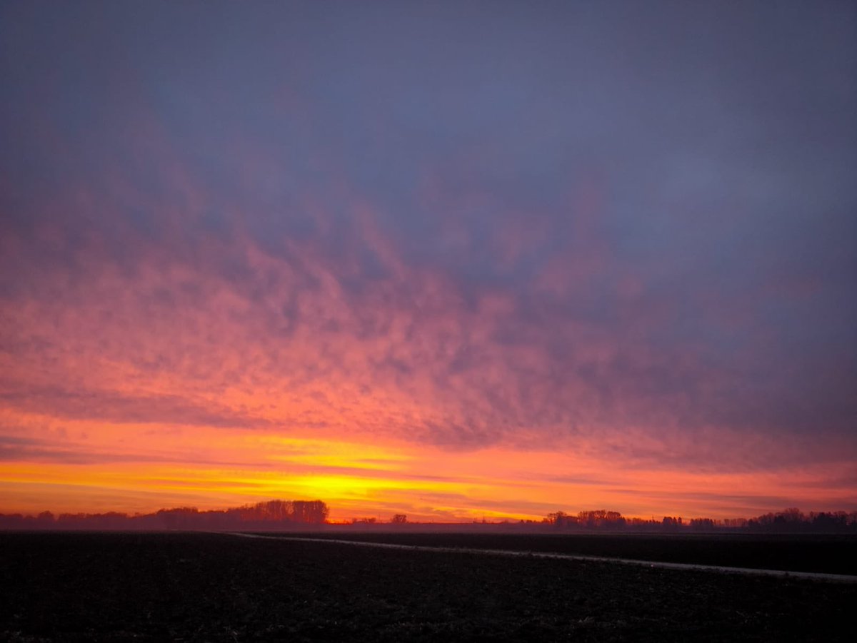 DanniClipper's tweet image. Sonnenaufgang 🌅 der Bilderbuchtauglich ist! #Sonnenaufgang #wieimbilderbuch #lesefreak #lesesüchtig