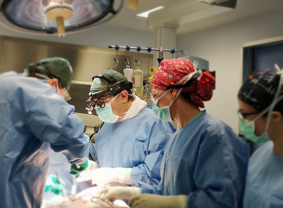 Intervista al Dott. Pasquale Fratto, Direttore della U.O.C. di Cardiochirurgia del GOM di Reggio Calabria

gomrc.it/news/news/2018…

#Salute #Sanità #ReggioCalabria #Calabria #Gomrc