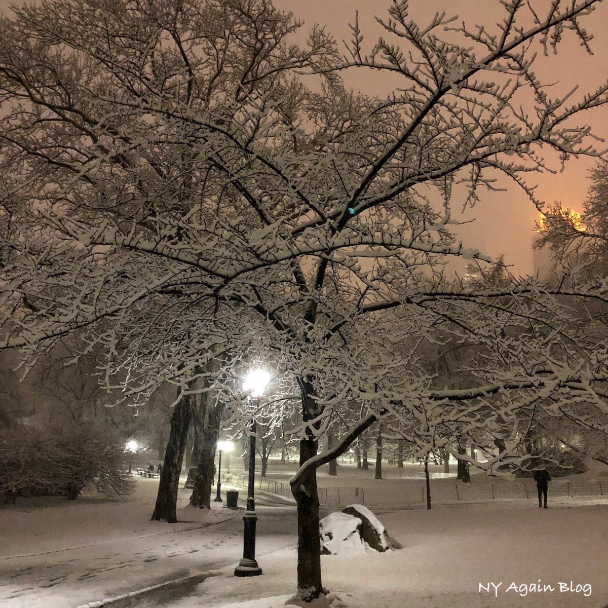 nyagainblog's tweet photo. NUEVO!
Qué hacer ante una nevada en #NYC
Ya llega la temporada de nieve ❄️ en la ciudad y acá les cuento sobre mis nevadas en New York.
☃️ https://t.co/mPaWMarsRl https://t.co/JTmYspv1KK
