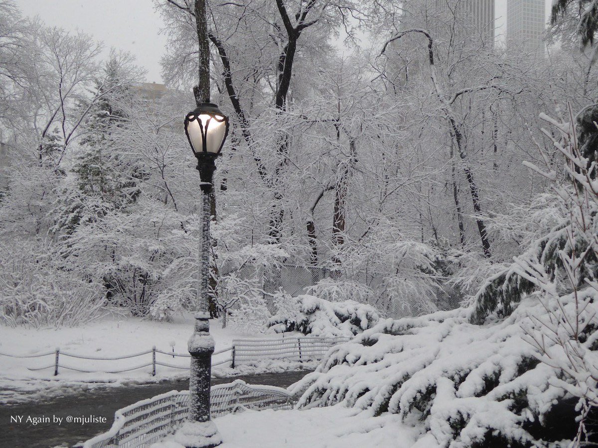 nyagainblog's tweet photo. NUEVO!
Qué hacer ante una nevada en #NYC
Ya llega la temporada de nieve ❄️ en la ciudad y acá les cuento sobre mis nevadas en New York.
☃️ https://t.co/mPaWMarsRl https://t.co/JTmYspv1KK