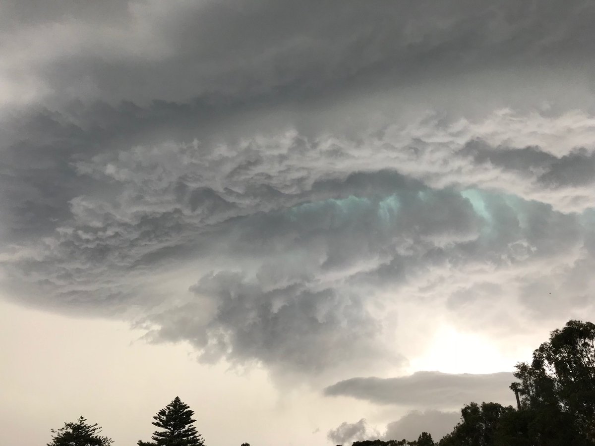 CameronWBerkman's tweet photo. ⁦@SciNate⁩ - check out this green eyed monster, screaming over Manly around 1815 tonight! https://t.co/EB2IGPPkw8
