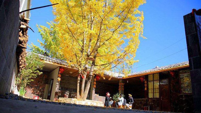 Mabet ağacı cenneti: #Jiangdong goo.gl/yNa6aj