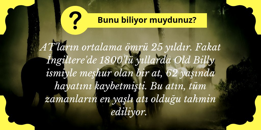 haradancom's tweet photo. https://t.co/uot3dwIQUW
#at #horse #horses #horsefacts #atlar #atseverler #bilmedikleriniz #atyarışı #idam #bunlarıbiliyormuydunuz #didyouknow https://t.co/RaNuGi8YYL https://t.co/TC9SNAqKSf