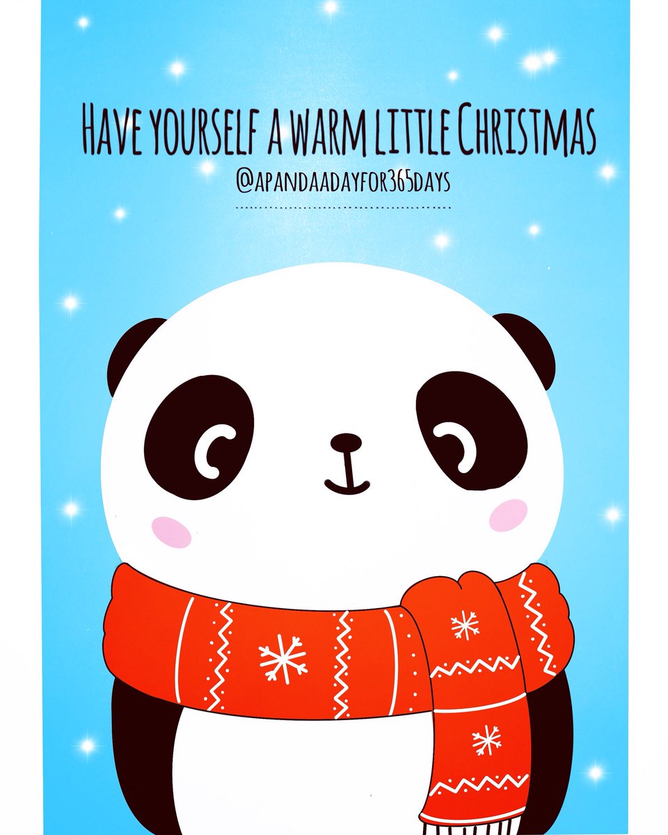 A panda a day for 365 days. tweet media