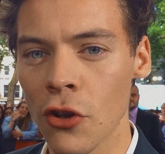 best harry pics tweet media