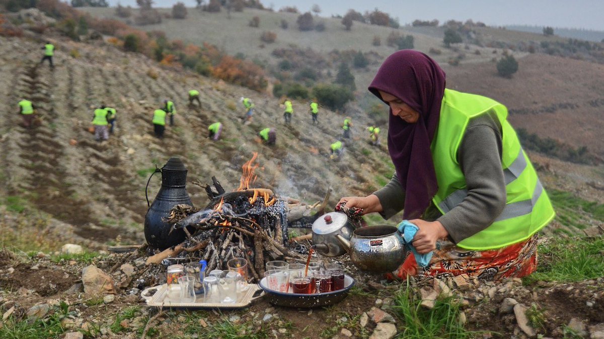 Bunlar da bizim sarı yelekliler...
Ama bizimkiler yıkmıyor, dikiyorlar.
Nefis görüntü.
(Paylaşım: <a href="/0rmanmuhendisi/">Orman Mühendisi</a> )