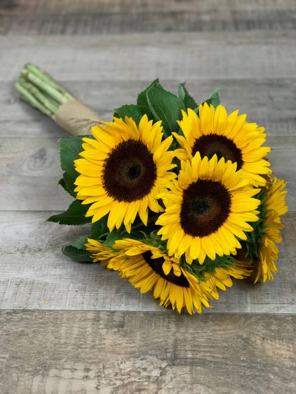 chatsworth_FD's tweet photo. When I walk with you I feel as if I had a flower in my buttonhole. William Makepeace Thackeray

#florist #floral #bouquet #flowerdeliverychatsworth #flowers #flowerstalking #flowerlove #flowergram #floraldesign #floralstyling #floralarrangement #floraldesigner https://t.co/8v0ldoRzO2