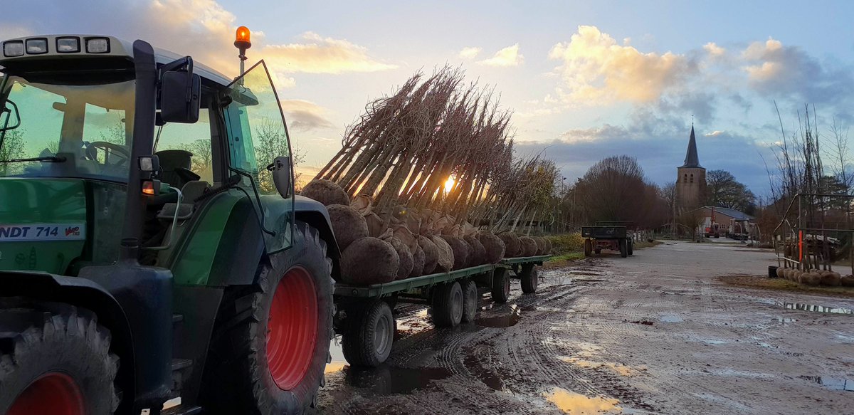 En met dit prachtige winterse ochtendstond plaatje uit onze boomkwekerij M. van den Oever # Haaren, met de kerktoren uit ons logo in zicht, sluiten we graag een mooi jaar, op Social Media officieel af. U en onze partners en relaties, bedankt voor uw vertrouwen!